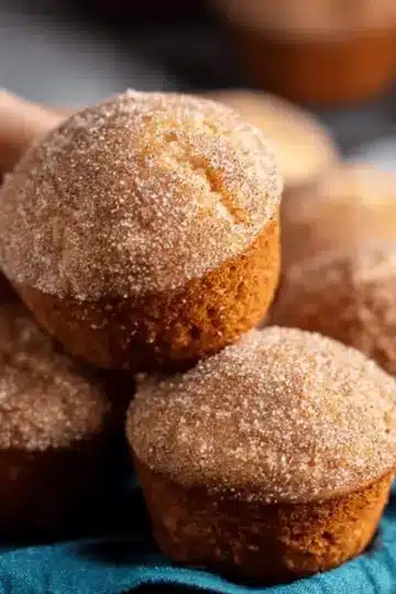 Cinnamon Sugar Donut Muffins