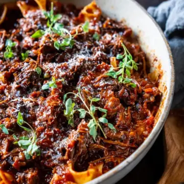 Short Rib Ragu