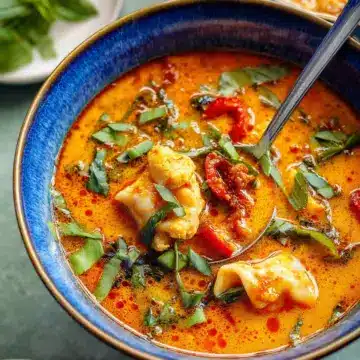 Red Curry Dumpling Soup